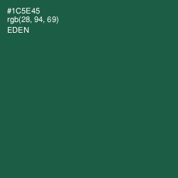 #1C5E45 - Eden Color Image