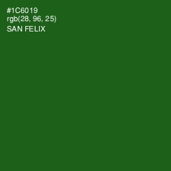 #1C6019 - San Felix Color Image