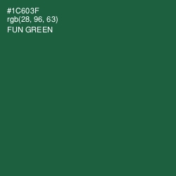 #1C603F - Fun Green Color Image