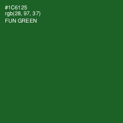 #1C6125 - Fun Green Color Image