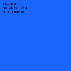 #1C65FB - Blue Ribbon Color Image