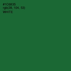 #1C6835 - Fun Green Color Image