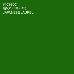 #1C690C - Japanese Laurel Color Image