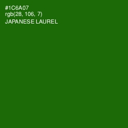 #1C6A07 - Japanese Laurel Color Image