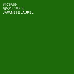 #1C6A09 - Japanese Laurel Color Image