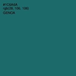 #1C6A6A - Genoa Color Image