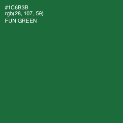#1C6B3B - Fun Green Color Image