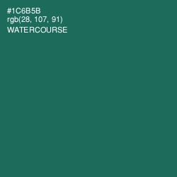 #1C6B5B - Watercourse Color Image