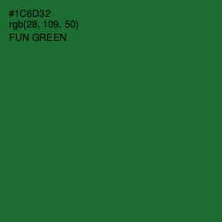 #1C6D32 - Fun Green Color Image