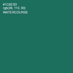 #1C6E5D - Watercourse Color Image