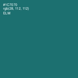 #1C7070 - Elm Color Image