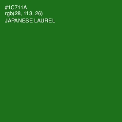 #1C711A - Japanese Laurel Color Image