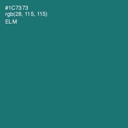 #1C7373 - Elm Color Image