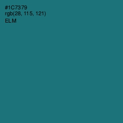 #1C7379 - Elm Color Image