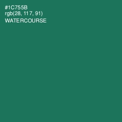 #1C755B - Watercourse Color Image