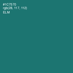 #1C7570 - Elm Color Image