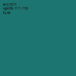 #1C7571 - Elm Color Image