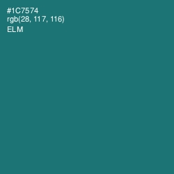 #1C7574 - Elm Color Image