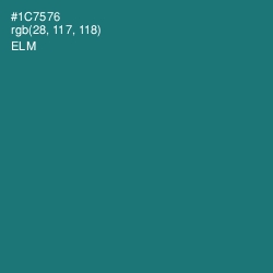 #1C7576 - Elm Color Image