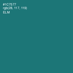 #1C7577 - Elm Color Image