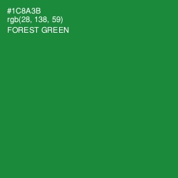 #1C8A3B - Forest Green Color Image