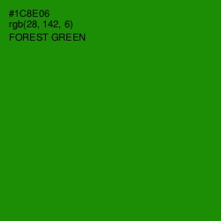 #1C8E06 - Forest Green Color Image