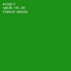 #1C9017 - Forest Green Color Image