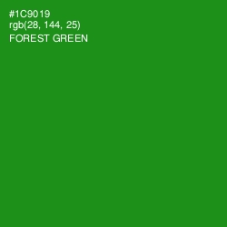 #1C9019 - Forest Green Color Image