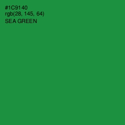 #1C9140 - Sea Green Color Image