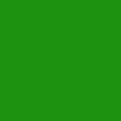 #1C9210 - Forest Green Color Image