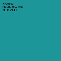 #1C9699 - Blue Chill Color Image