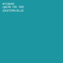 #1C96A0 - Eastern Blue Color Image