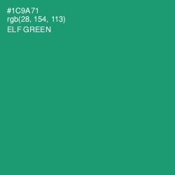 #1C9A71 - Elf Green Color Image