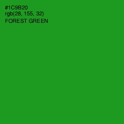 #1C9B20 - Forest Green Color Image