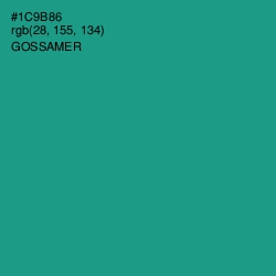 #1C9B86 - Gossamer Color Image