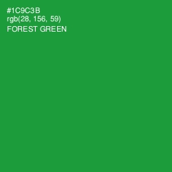 #1C9C3B - Forest Green Color Image