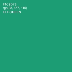 #1C9D73 - Elf Green Color Image