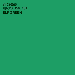 #1C9E65 - Elf Green Color Image