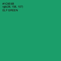 #1C9E6B - Elf Green Color Image