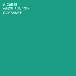 #1C9E85 - Gossamer Color Image