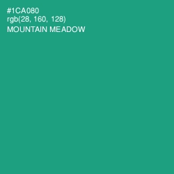 #1CA080 - Mountain Meadow Color Image