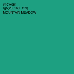 #1CA081 - Mountain Meadow Color Image