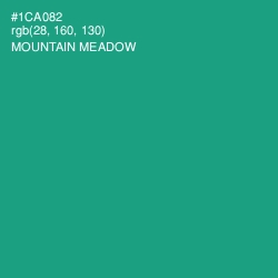 #1CA082 - Mountain Meadow Color Image