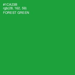 #1CA23B - Forest Green Color Image