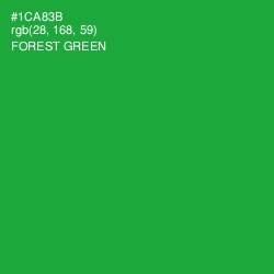 #1CA83B - Forest Green Color Image