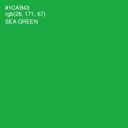 #1CAB43 - Sea Green Color Image