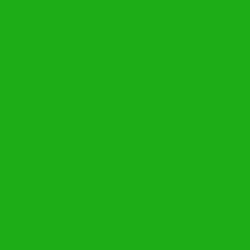 #1CAD17 - Forest Green Color Image