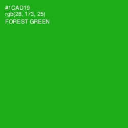 #1CAD19 - Forest Green Color Image