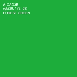 #1CAD3B - Forest Green Color Image