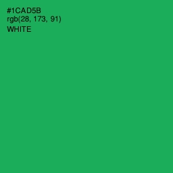 #1CAD5B - Green Haze Color Image